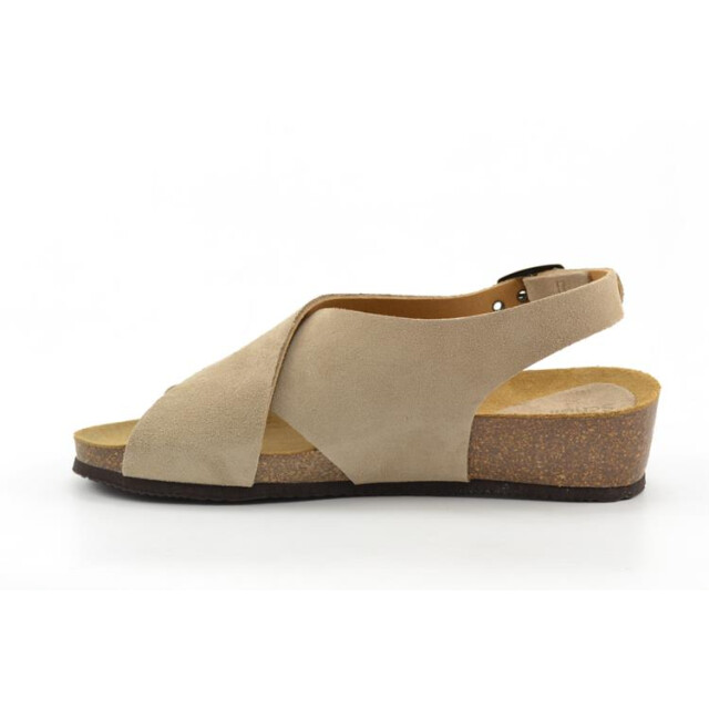 Scholl F31560 2361 amelie F31560 2361 Amelie large