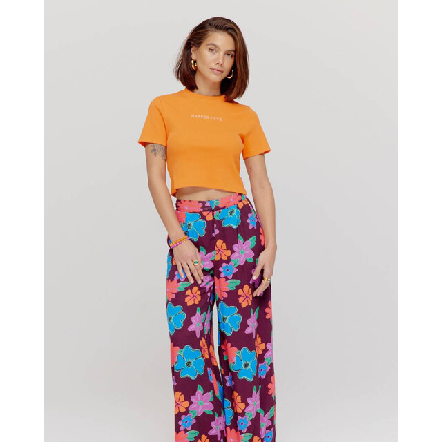 Harper & Yve Top korte mouw hs25y307 demmy Harper & Yve Top korte mouw HS25Y307 DEMMY large
