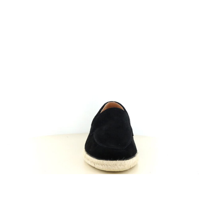 Verbenas Karina 247.90.212 large