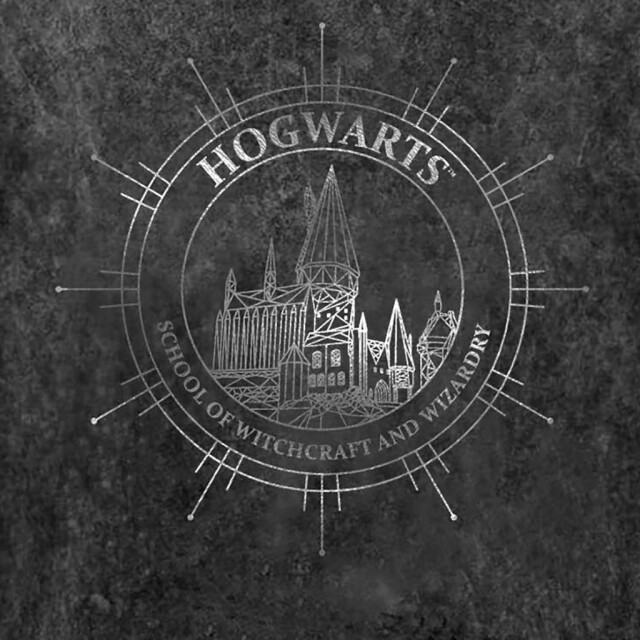 Li-cense Harry potter dames zweinstein sterrenbeeld acid wash t-shirt UTHE662_black large