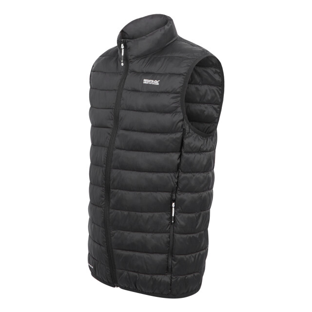 Regatta Heren hillpack ii gilet UTRG10763_black large