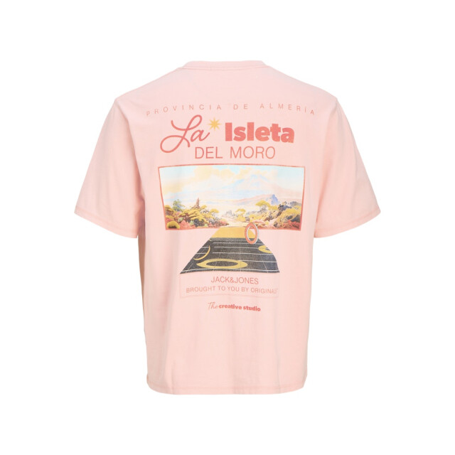 Jack & Jones joralmeria world tee ss crew neck 12276785 tickled 05011.620.0002 large