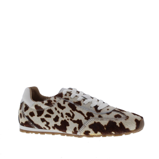 DWRS Label Sava dames sneaker | dames | maat: | pony 110203 large