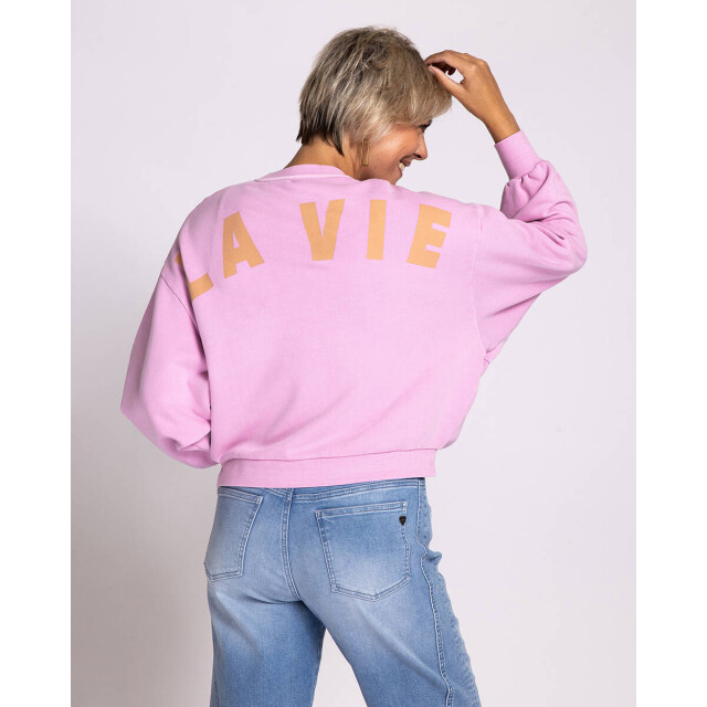 Zhrill Sweat zs088-n625 zhute Zhrill Sweat ZS088-N625 ZHUTE large