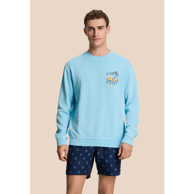 Shiwi men mike swim shorts 7 inch sketched coral 1525107456 6753 blue sketched coral 05412.261.0024 large