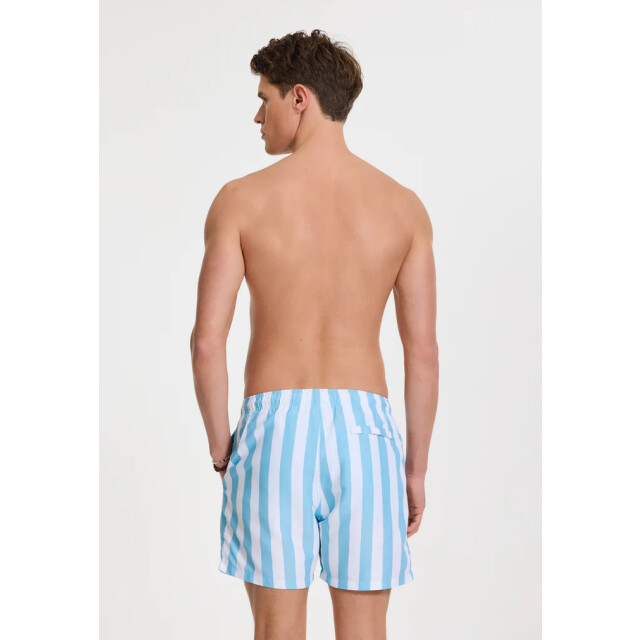 Shiwi men swimshort broad stripe 1441100200 6813 blue sky stripe 05412.210.0005 large