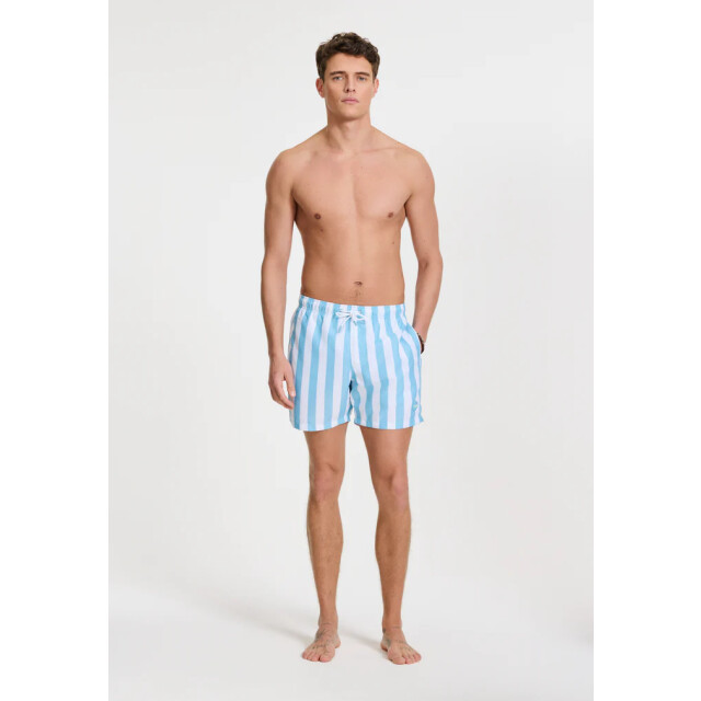 Shiwi men swimshort broad stripe 1441100200 6813 blue sky stripe 05412.210.0005 large