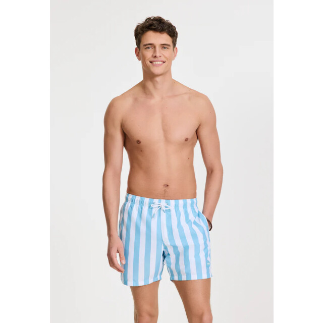 Shiwi men swimshort broad stripe 1441100200 6813 blue sky stripe 05412.210.0005 large