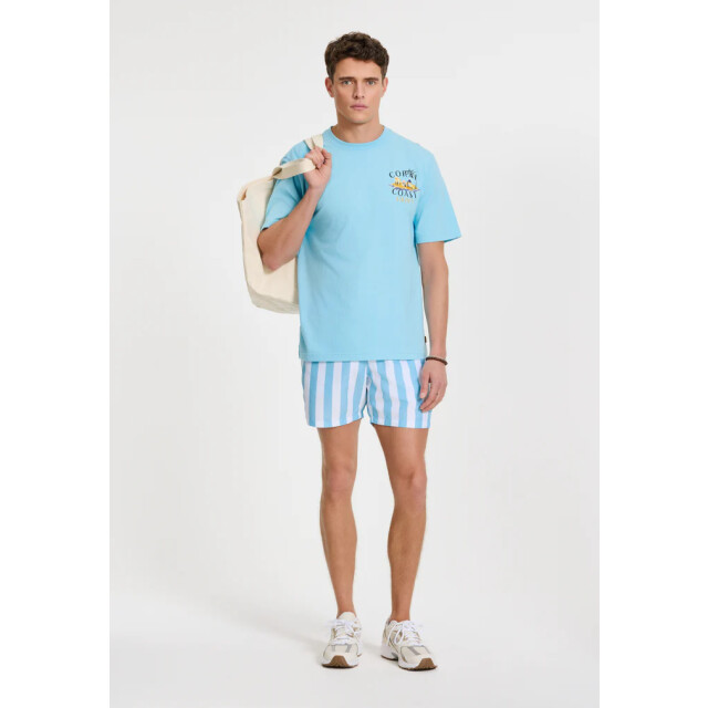 Shiwi men swimshort broad stripe 1441100200 6813 blue sky stripe 05412.210.0005 large