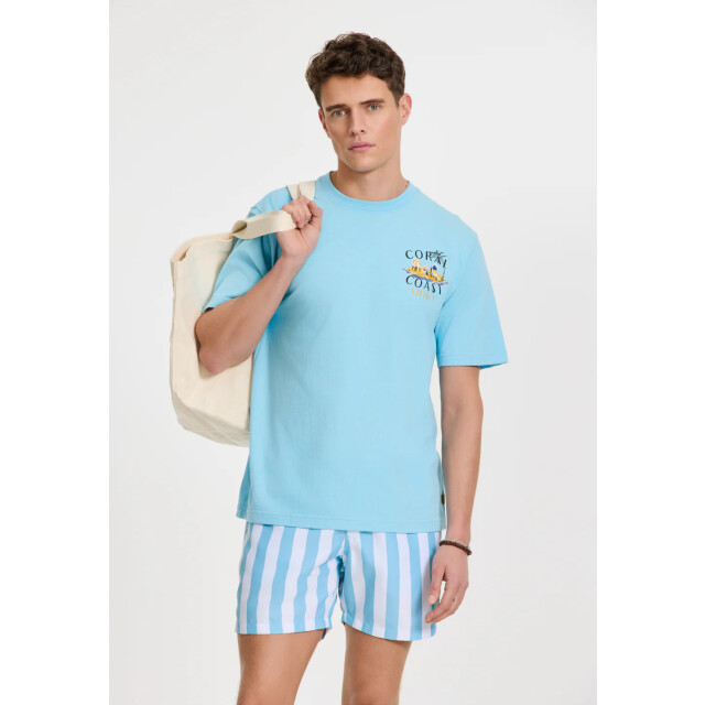 Shiwi men swimshort broad stripe 1441100200 6813 blue sky stripe 05412.210.0005 large
