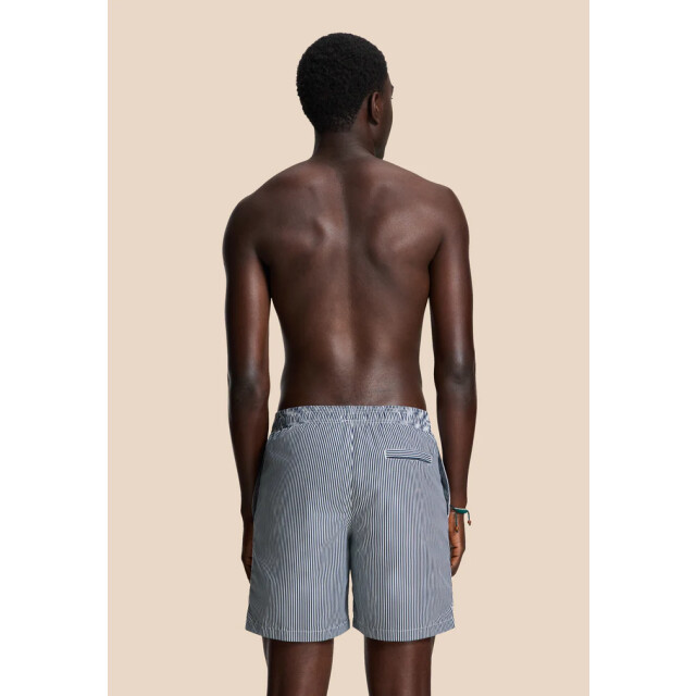 Shiwi men mike swim short 7 inch fine stripe 1525107404 6855 blue fine stripe 05412.261.0021 large