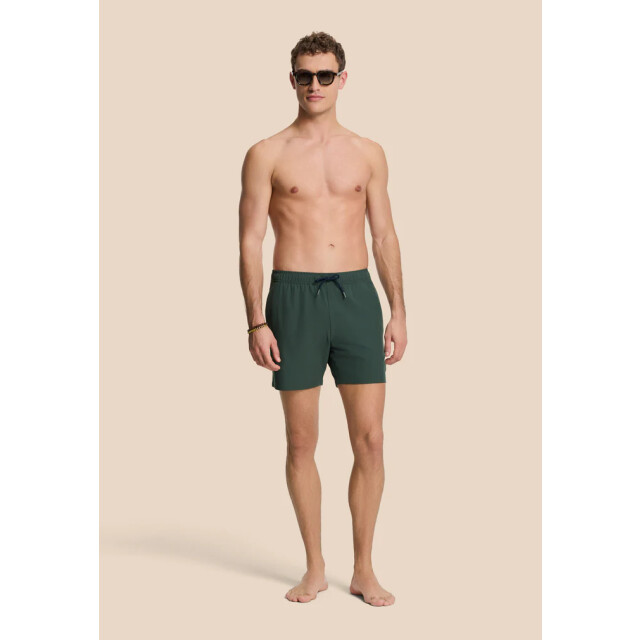 Shiwi men scott stretch swim short 6 inch solid 1525506100 7034 green leaf 05412.369.0028 large