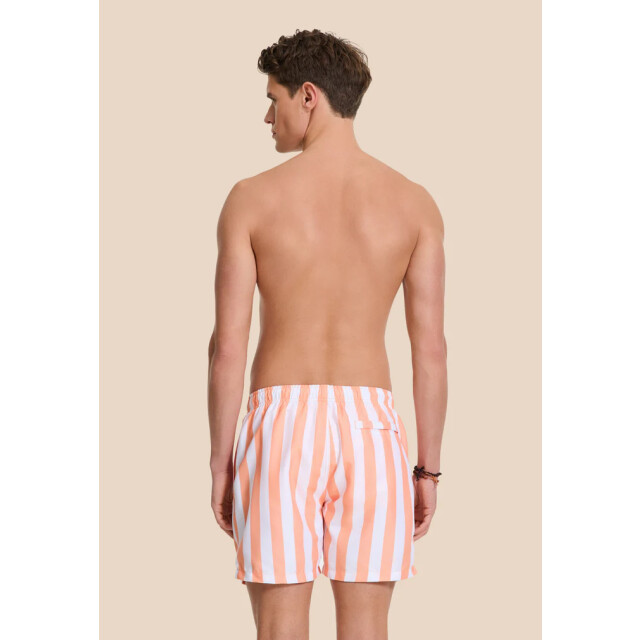 Shiwi men swimshort broad stripe 1441100200 2841 orange sun stripe 05412.540.0013 large