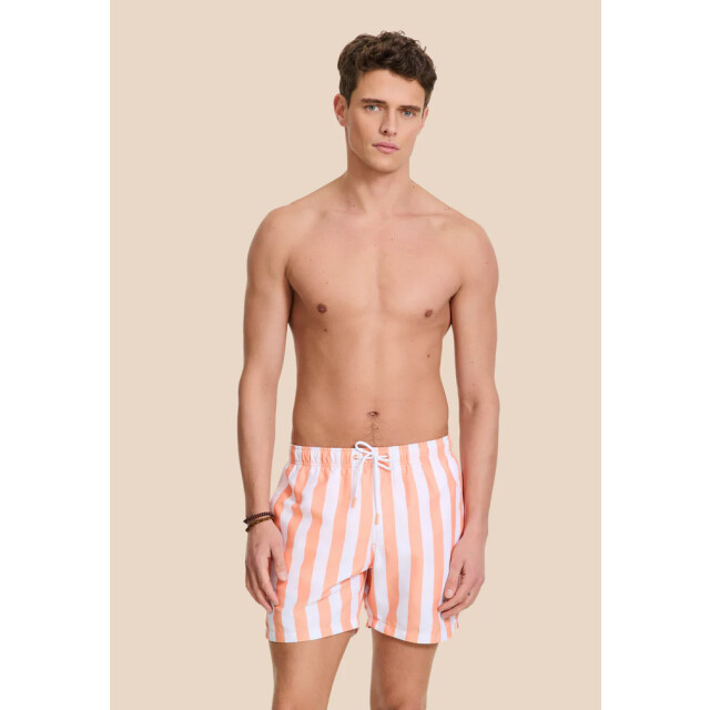 Shiwi men swimshort broad stripe 1441100200 2841 orange sun stripe 05412.540.0013 large