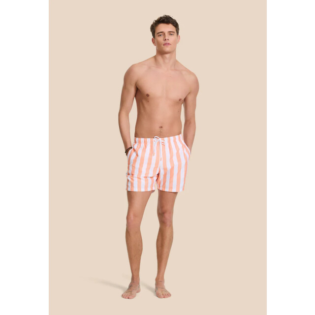Shiwi men swimshort broad stripe 1441100200 2841 orange sun stripe 05412.540.0013 large
