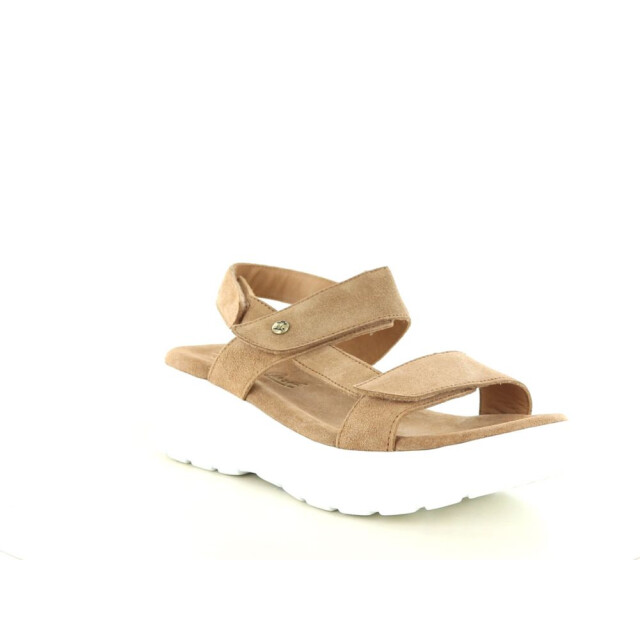 Panama Jack 290.33.315 Sandalen Cognac 290.33.315 large