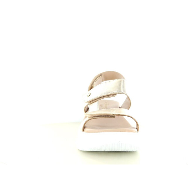 Panama Jack 290.97.033 Sandalen Goud 290.97.033 large