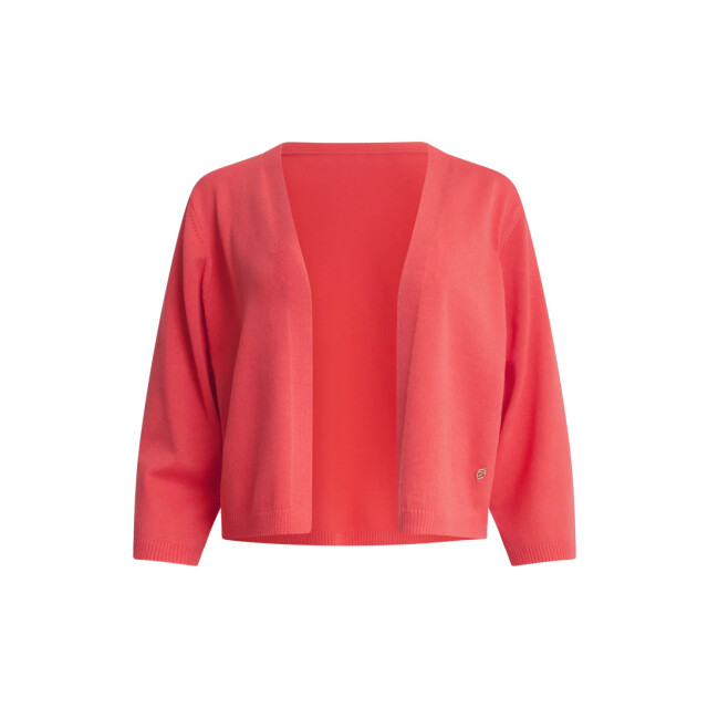 Smashed Lemon 25377, tops | 25377-220-4XL large