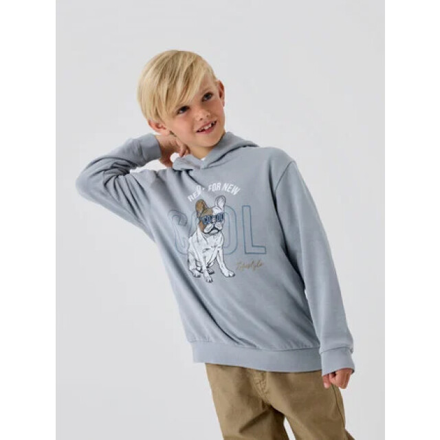 Name It Zomer hoodie jongens - nkmbedog 13241853-5715678246241 - Nkmbedog - Quarry large