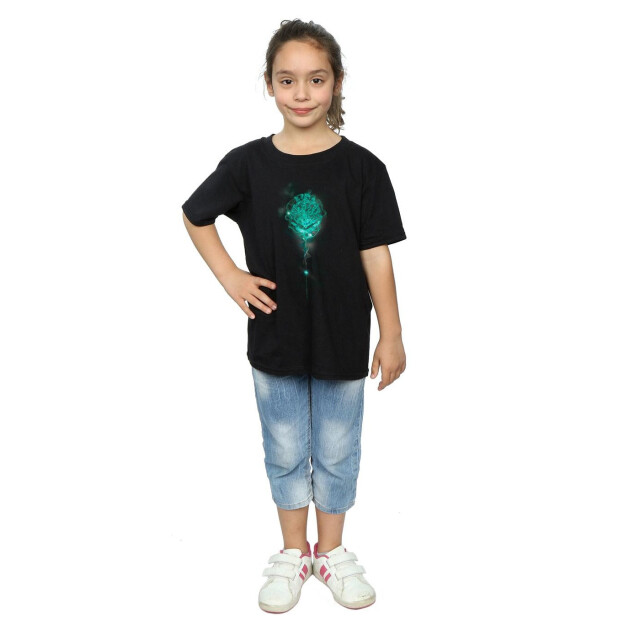 Li-cense Harry potter meisjes zweinstein borstwering mist katoenen t-shirt UTBI20770_black large