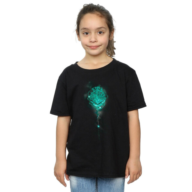 Li-cense Harry potter meisjes zweinstein borstwering mist katoenen t-shirt UTBI20770_black large