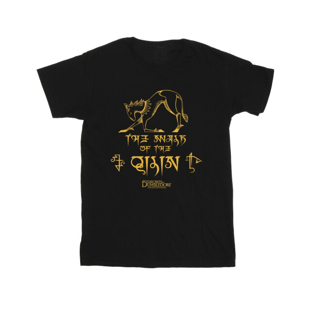 Li-cense Fantastic beasts: the secrets of dumbledore katoenen t-shirt met magische hiërogliefen voor meisjes UTBI50573_black large