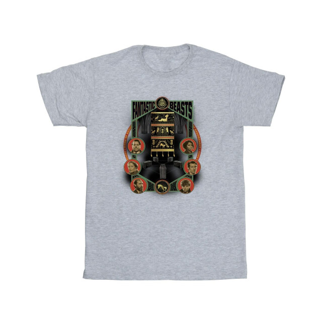 Li-cense Fantastic beasts: the secrets of dumbledore katoenen t-shirt meisjes karakter pictogrammen UTBI50559_sportsgrey large