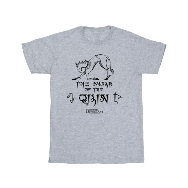 Li-cense Fantastic beasts: the secrets of dumbledore katoenen t-shirt met magische hiërogliefen voor meisjes UTBI50573_sportsgrey large