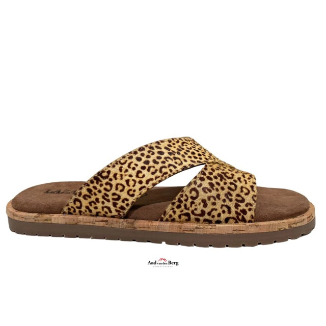 Lazamani Damesschoenen slippers LA75010 large