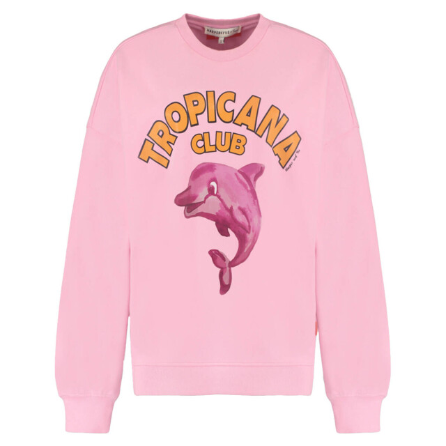 Harper & Yve Pullover hst25y500 dolphin Harper & Yve Sweat HST25Y500 DOLPHIN large