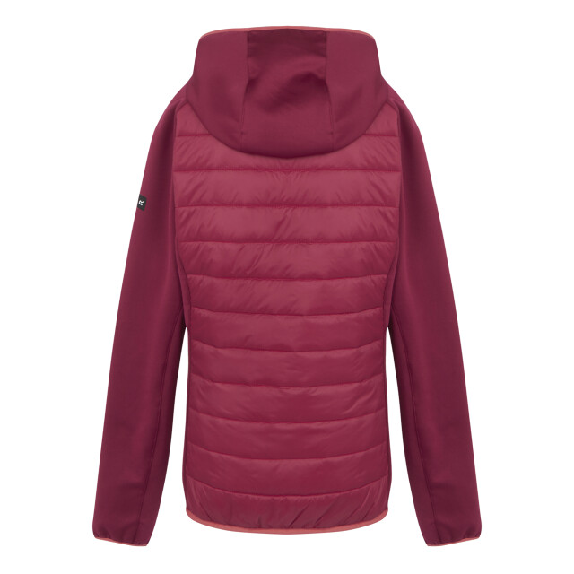 Regatta Dames andreson viii hybride jas UTRG9336_rumbared large