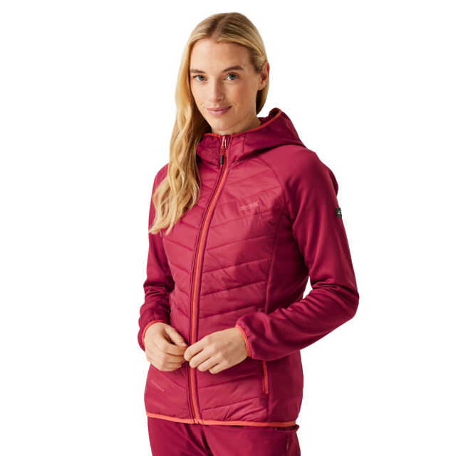 Regatta Dames andreson viii hybride jas UTRG9336_rumbared large