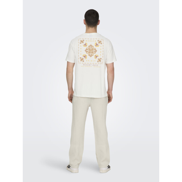 Only & Sons Onsmanuel life reg ss desert tee cs 22035647 large