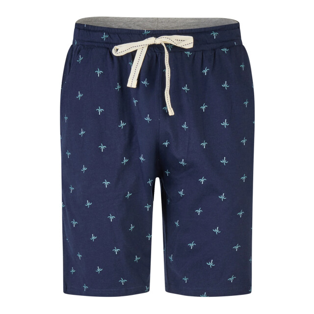 Phil & Co Heren korte pyjama set shortama groen/donkerblauw PH-516-02 large