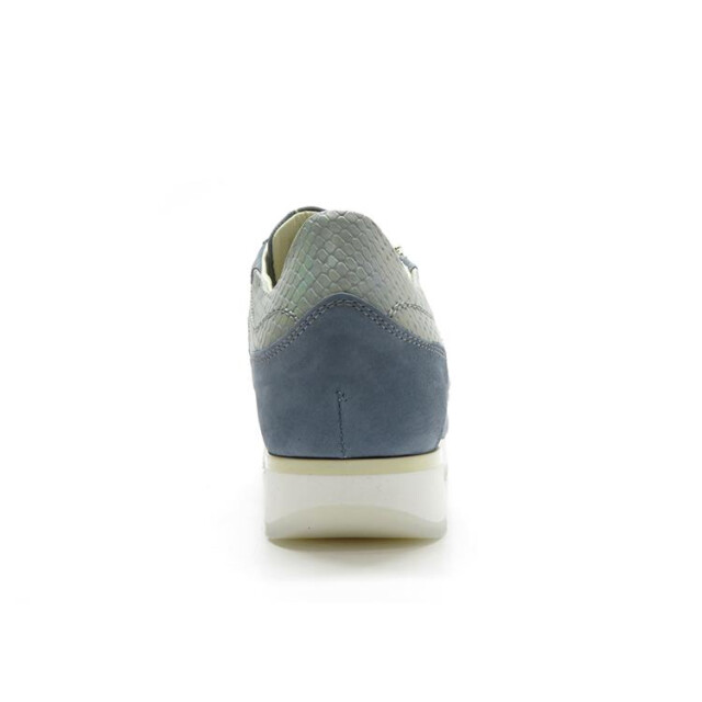 DL Sport 6217 6217 large