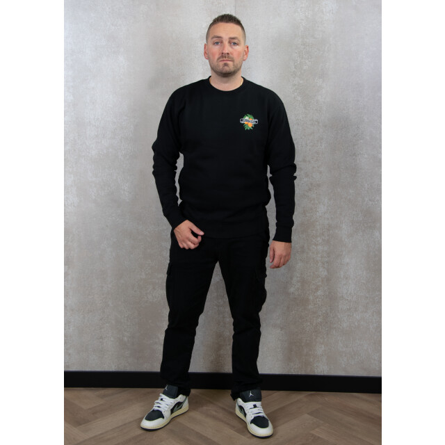 Quotrell Mineola crewneck 130.10.0490 large