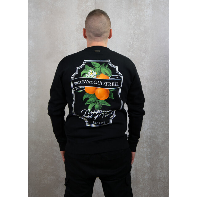 Quotrell Mineola crewneck 130.10.0490 large