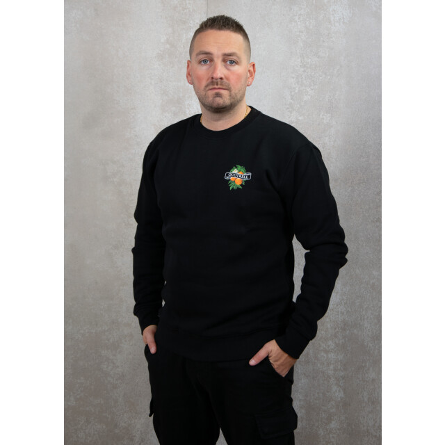 Quotrell Mineola crewneck 130.10.0490 large
