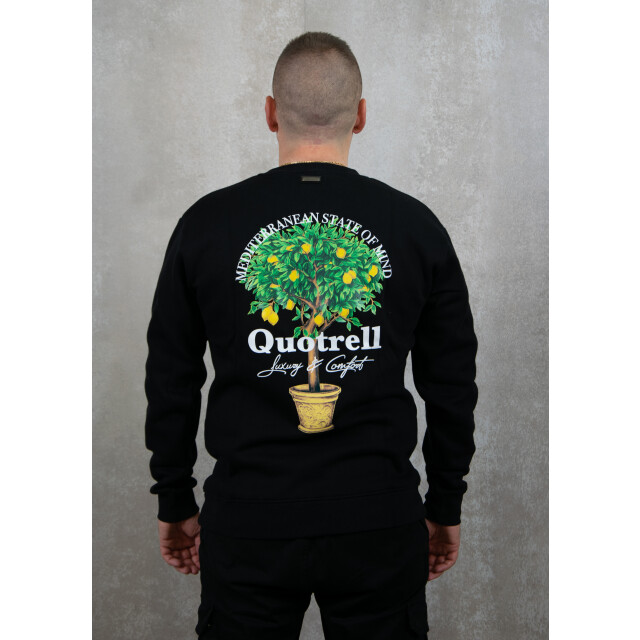 Quotrell Limone crewneck 130.10.0489 large