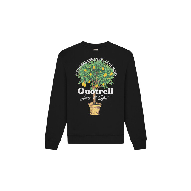 Quotrell Limone crewneck 130.10.0489 large
