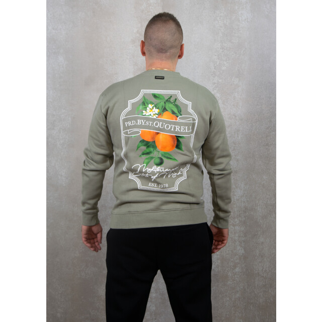 Quotrell Mineola crewneck 130.40.0310 large