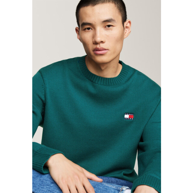 Tommy Hilfiger Reg badge sweater 135.40.0014 large