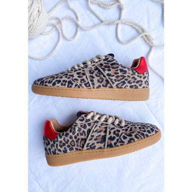 DWRS Label Poona B11456-23 large