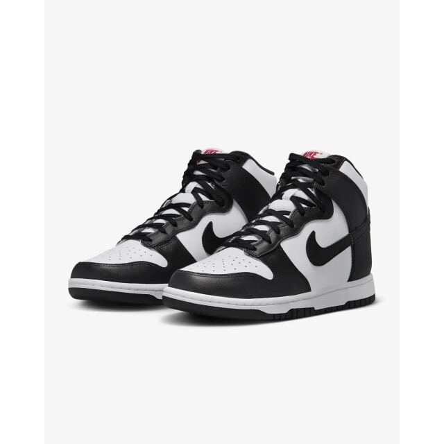 Nike Dunk high DD1869-103 large