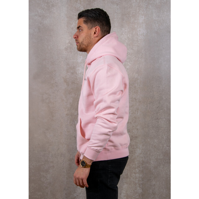 Tommy Hilfiger Reg linear logo hoodie 131.90.0026 large