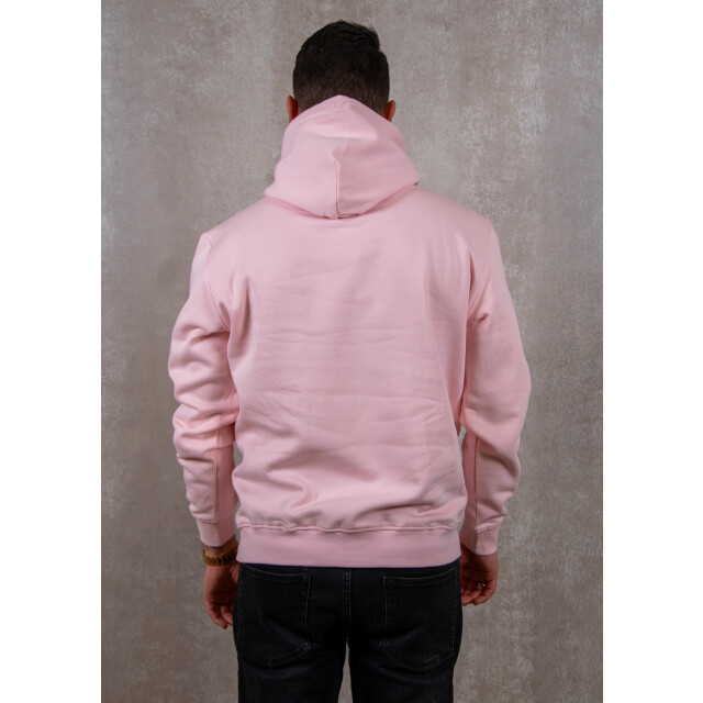 Tommy Hilfiger Reg linear logo hoodie 131.90.0026 large