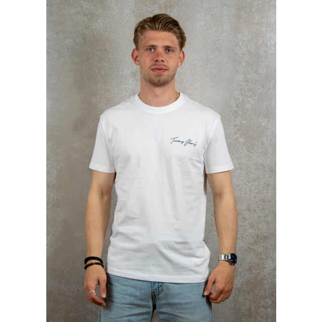 Tommy Hilfiger Reg novelty tee 100.01.0104 large