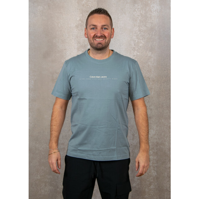 Calvin Klein Minimal logo tee 100.30.1046 large