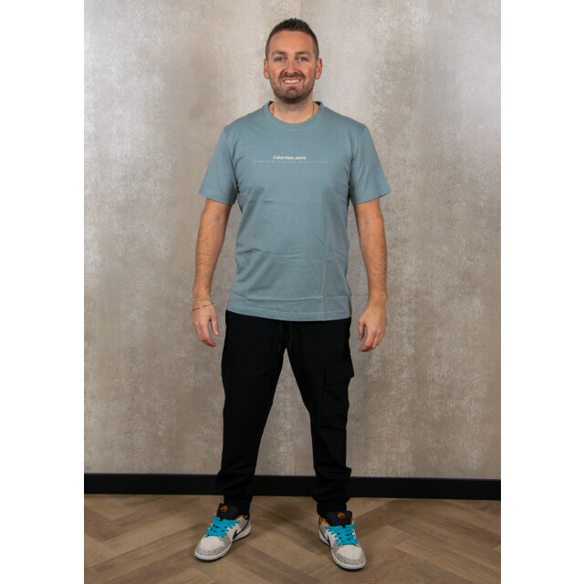 Calvin Klein Minimal logo tee 100.30.1046 large