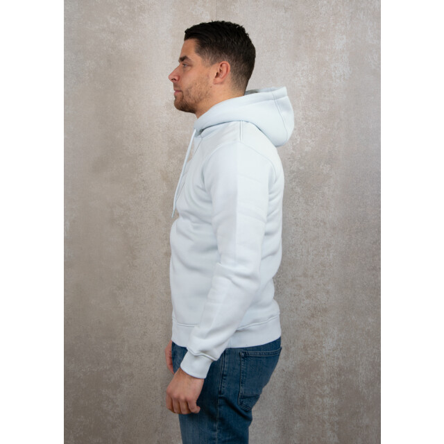 Pure Path Regular fit hoodie ls sweaters 131.30.0273 large